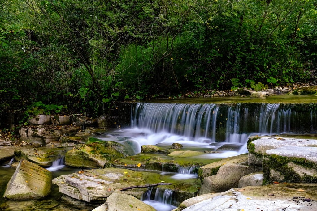 Casentino Forest, Emilia-Romagna, Italy