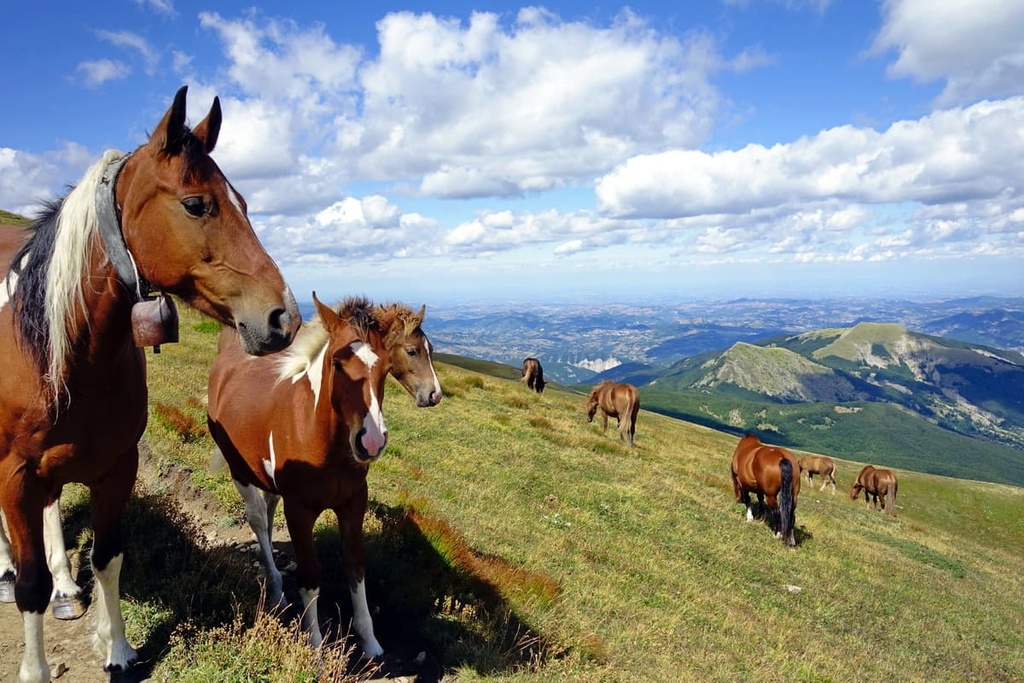 Tuscan-Emilian Apennines National Park, Emilia-Romagna, Italy