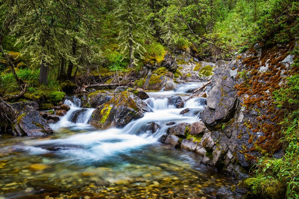 Ribbon Creek Trail, Evan-Thomas Provincial Recreation Area, Alberta