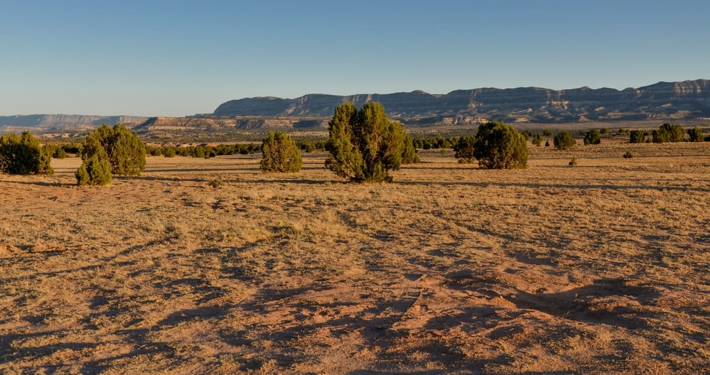 Fiftymile Mountain Wilderness Study Area, Utah