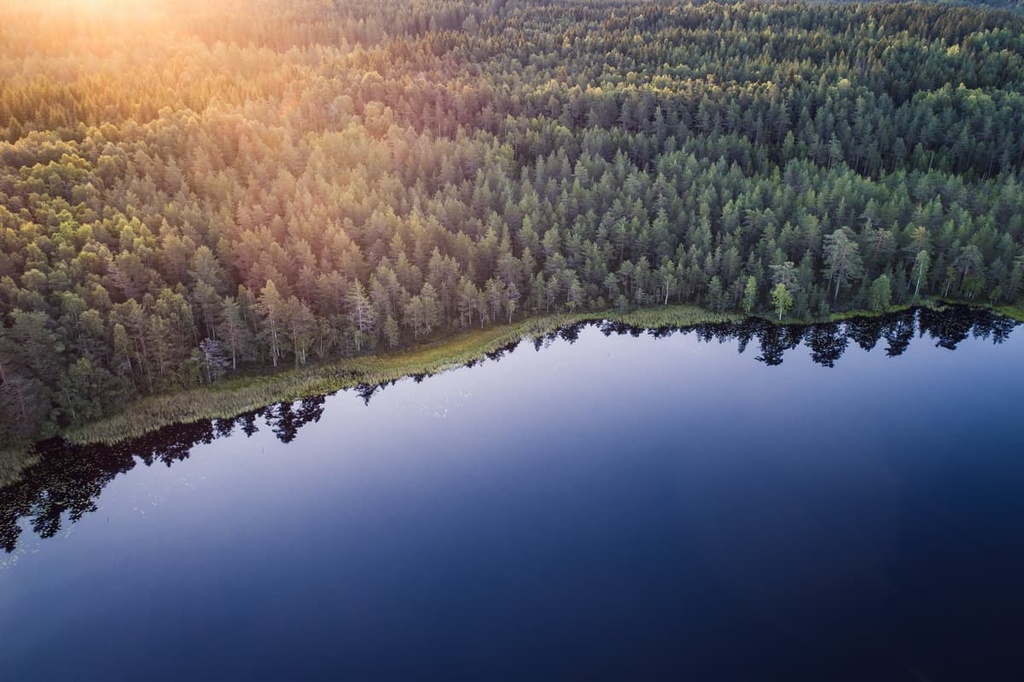 Kurjenrahka National Park, Finland Proper, Finland