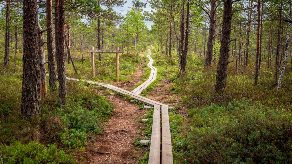 Kurjenrahka National Park, Finland Proper, Finland