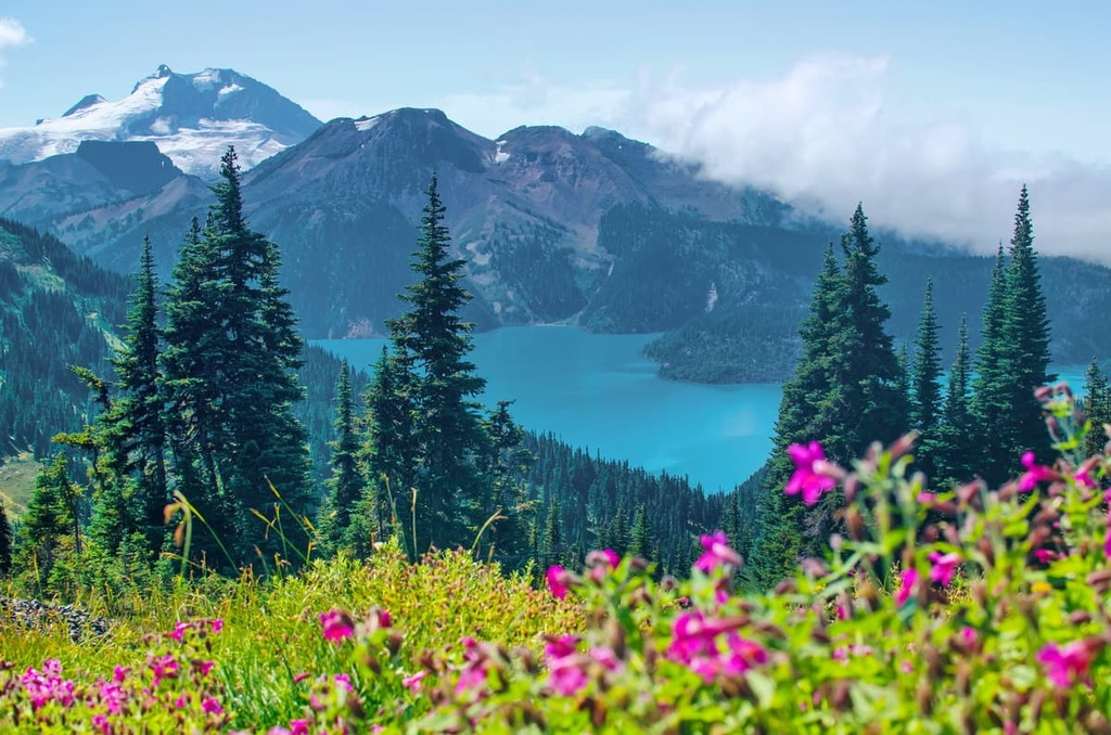 Whistler Mountain, Fitzsimmons Range, British Columbia