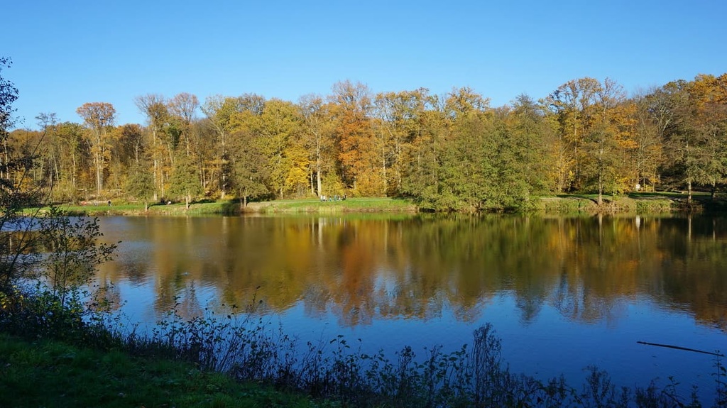 Foret Montmorency, Quebec