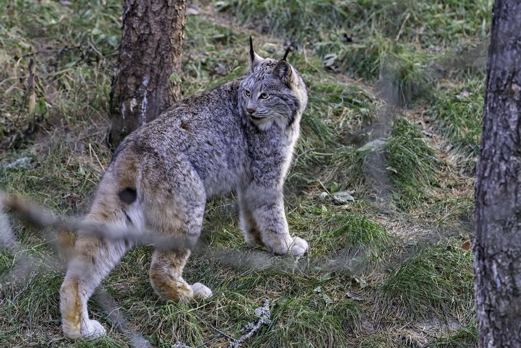 Forillon National Park, Quebec