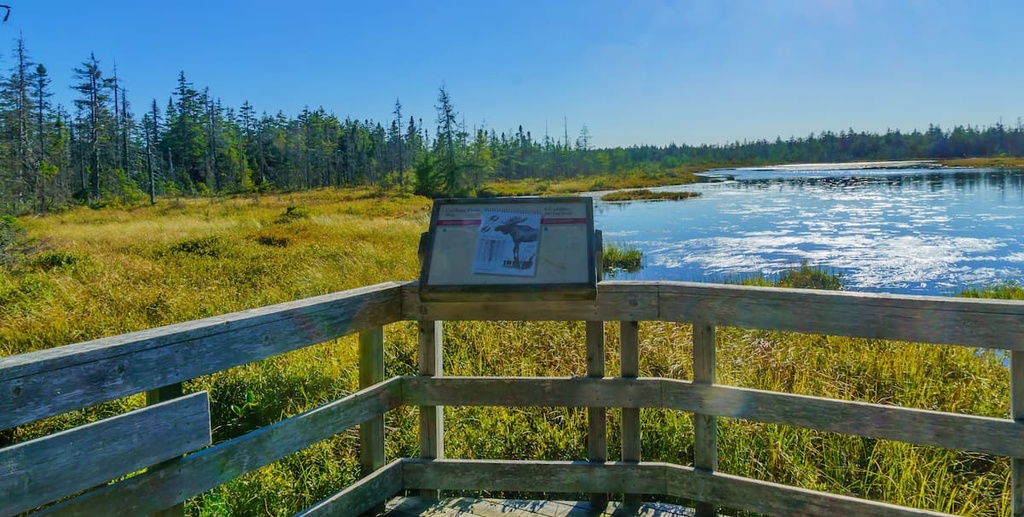 Fundy National Park, New Brunswick, Canada