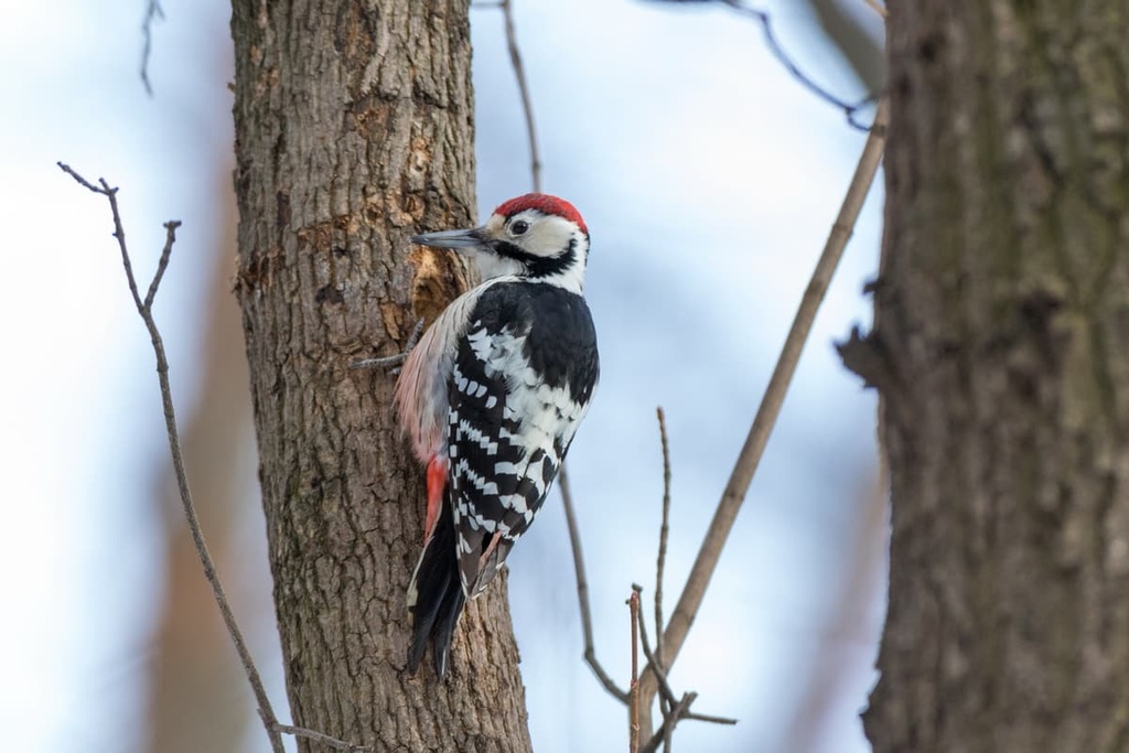  Gargano National Park, Italy