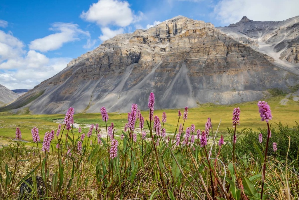 Gates of the Arctic Wilderness, Alaska