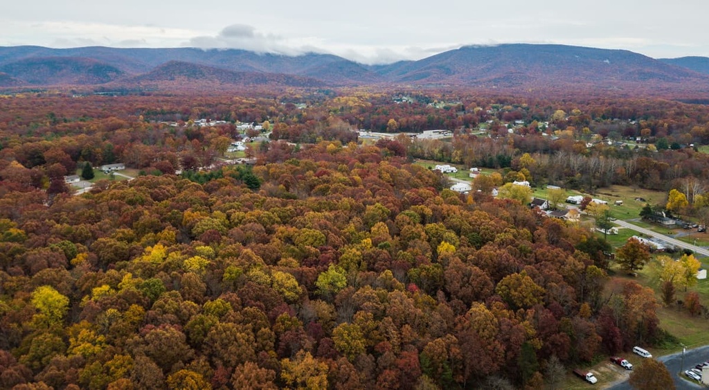 Elkton George Washington National Forest, Lee Ranger District, Virginia