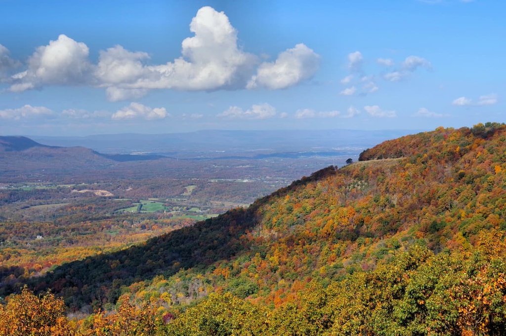 Signal Knob, George Washington National Forest, Lee Ranger District, Virginia