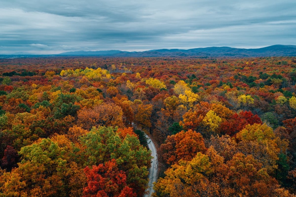 Road, George Washington National Forest, Lee Ranger District, Virginia