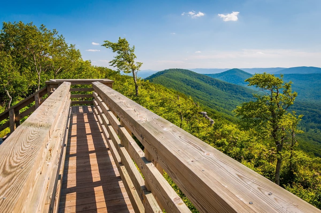 Wooden bridge, George Washington National Forest North River Ranger District, Virginia