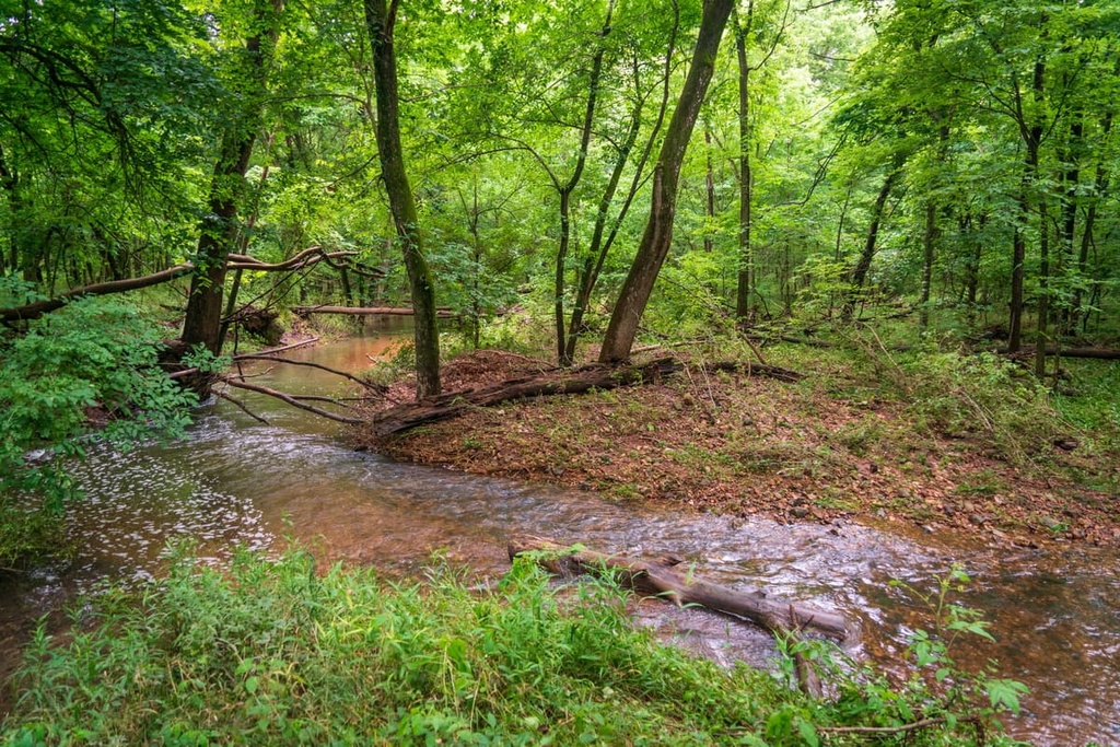 Washington National Forest (North River district)