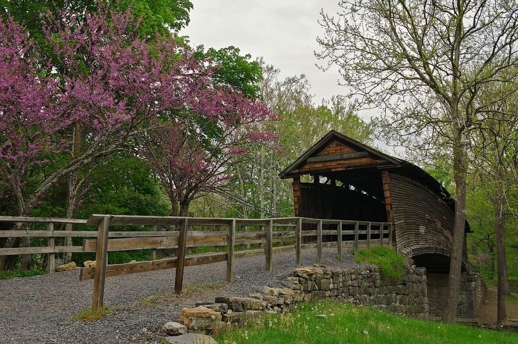 Washington National Forest (Warm Springs district)