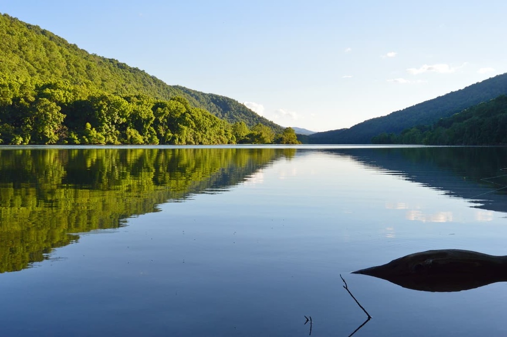 Washington National Forest (Warm Springs district)