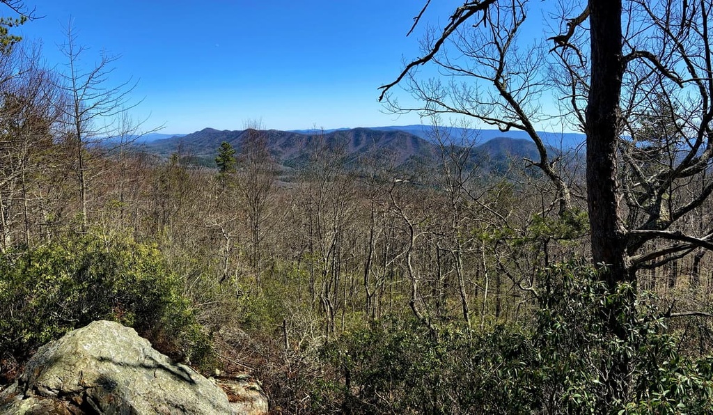 George Washington National Forest (Warm Springs district)