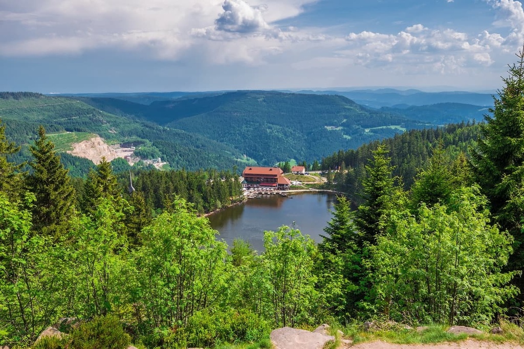 Black Forest  National Park, Germany