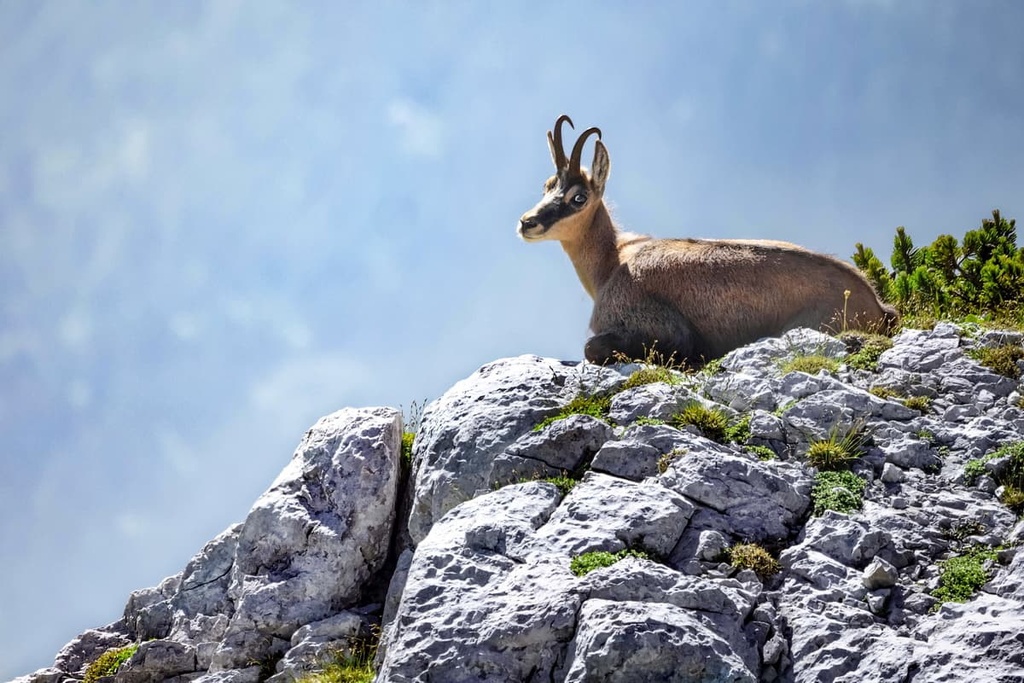 Gesause National Park, Austria