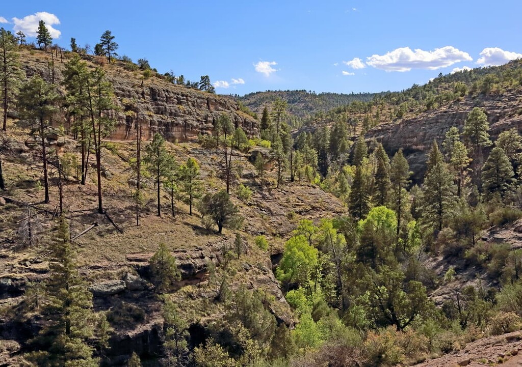  Gila National Forest, New Mexico