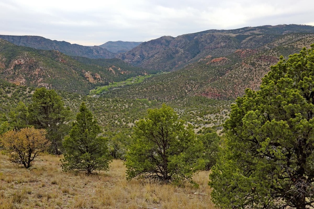 Gila Wilderness, New Mexico