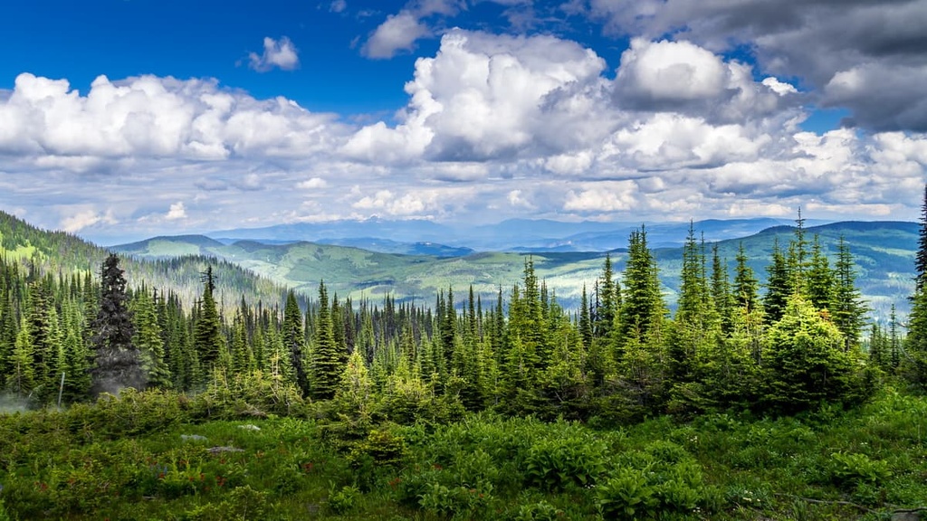 Gitnadoiks River Provincial Park, British Columbia
