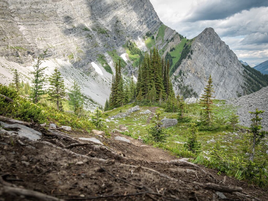 Old Goat Glacier Trail, Goat Range, Canada