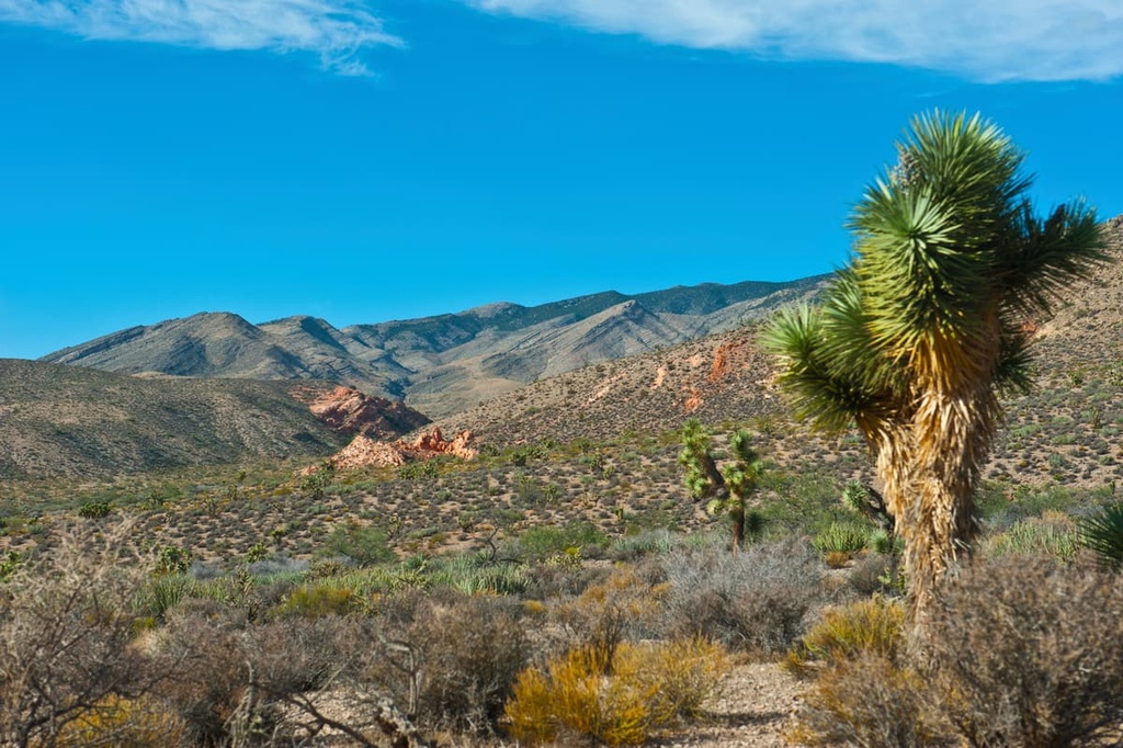 Gold Butte National Monument, Nevada