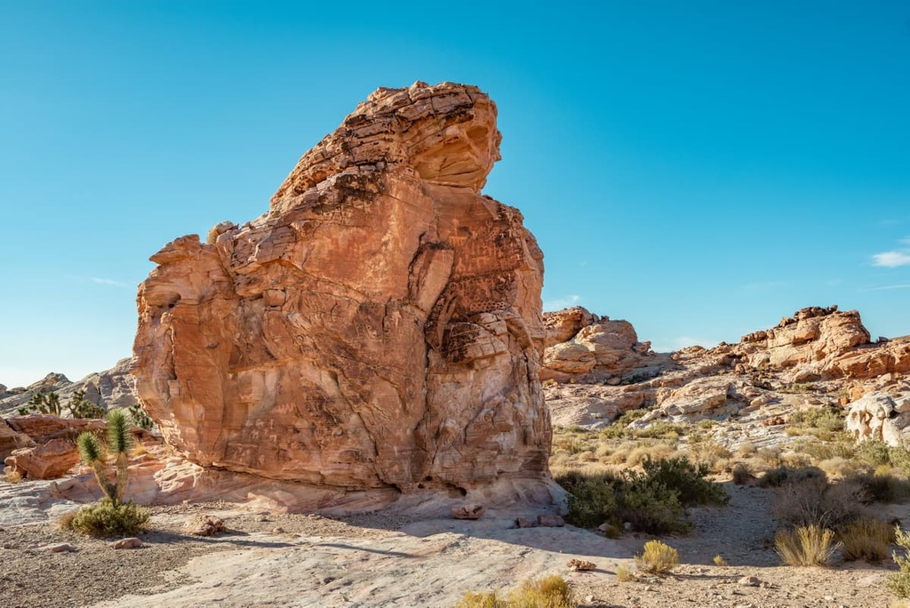 Whitney Pocket, Gold Butte National Monument, Nevada