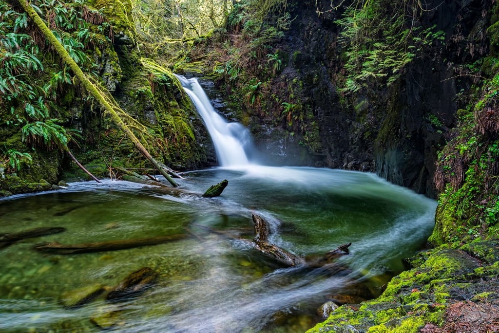 Goldstream Provincial Park