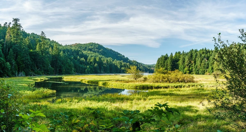 Goldstream Provincial Park, Canada
