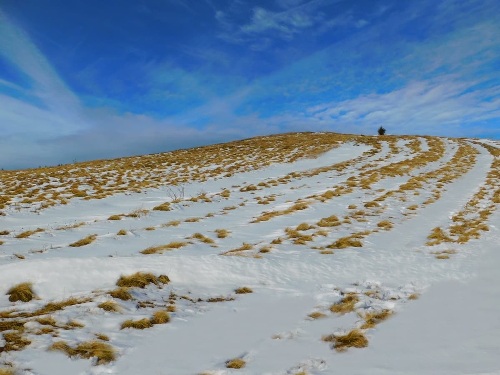 Golija Nature Park, Serbia