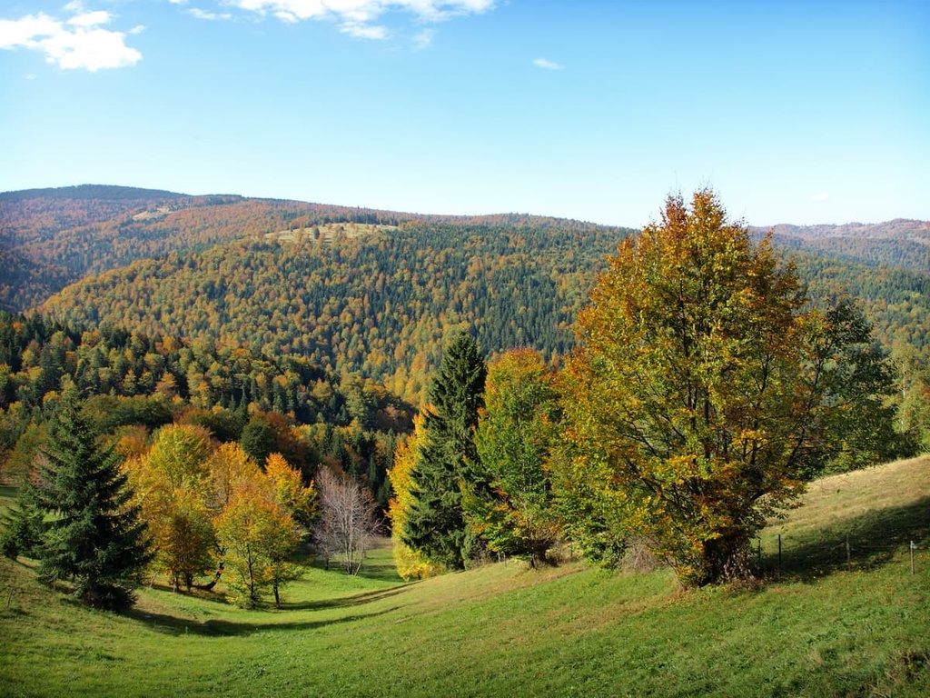 Golija Nature Park, Serbia