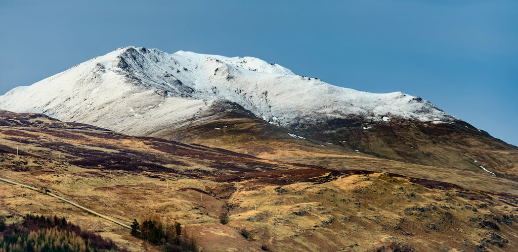 Ben Lawers, Grampian Mountains, Scotland