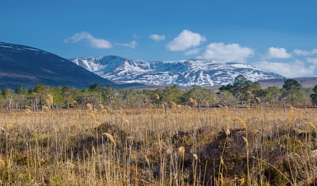 Braeriach, Grampian Mountains, Scotland