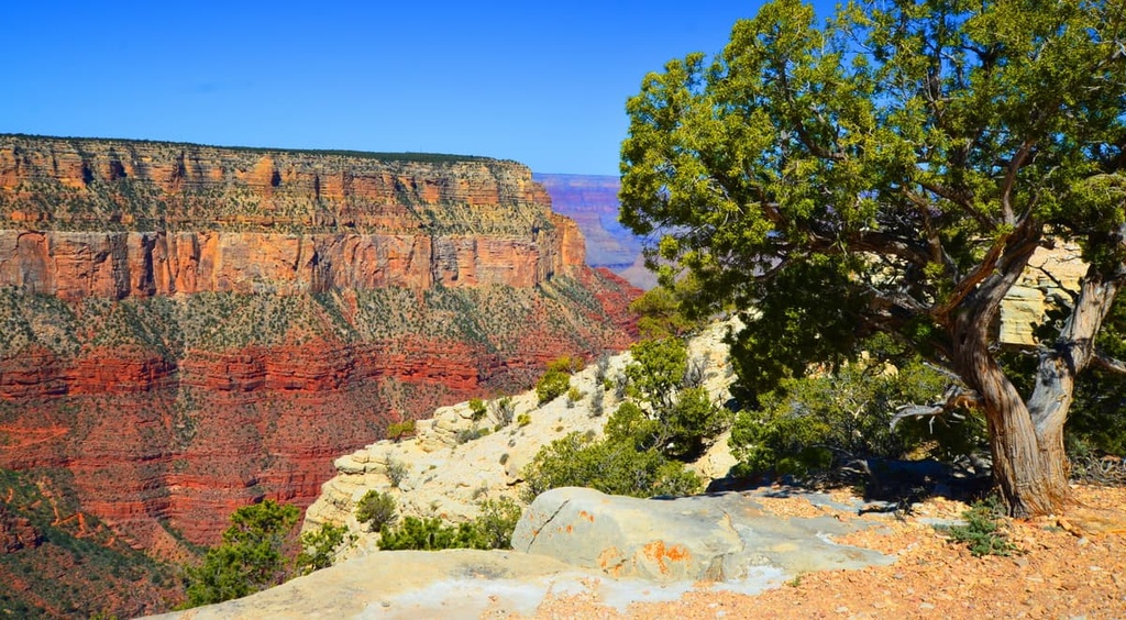 Grand Canyon-Parashant National Monument, Arizona