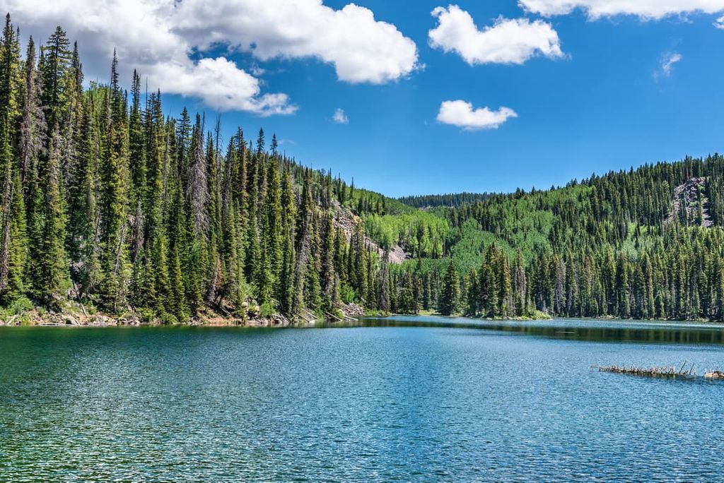 Grand Mesa National Forest