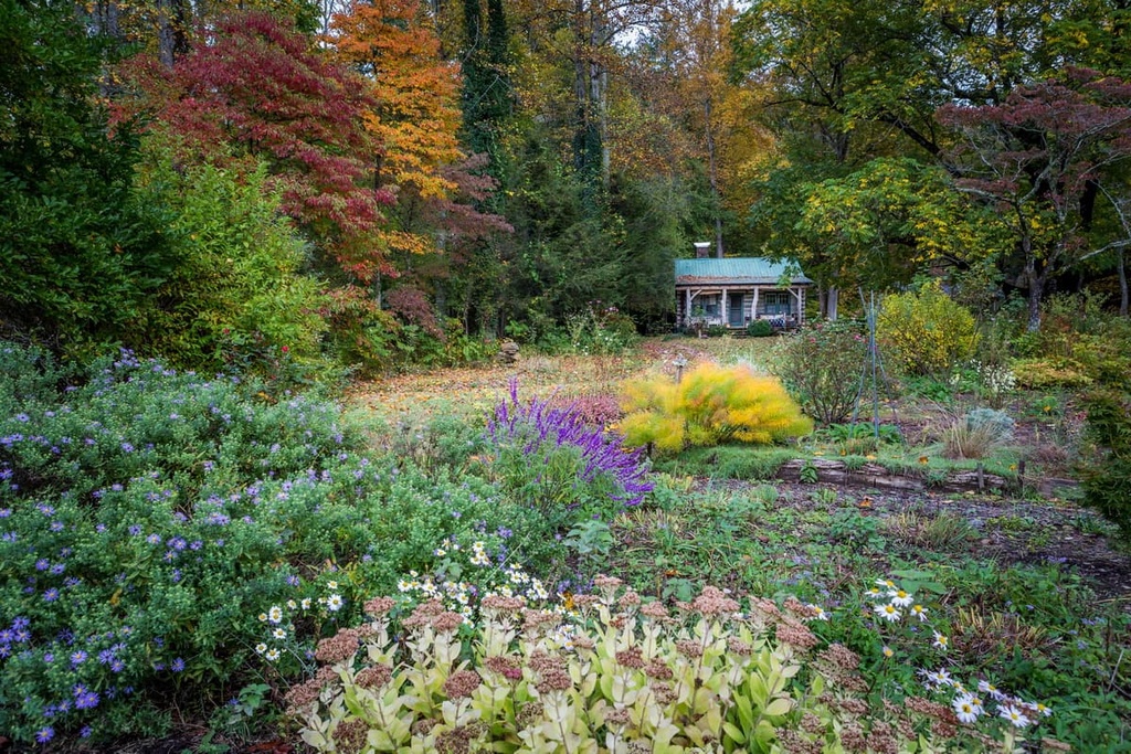 Cabins, Great Balsam Mountains, North Carolina