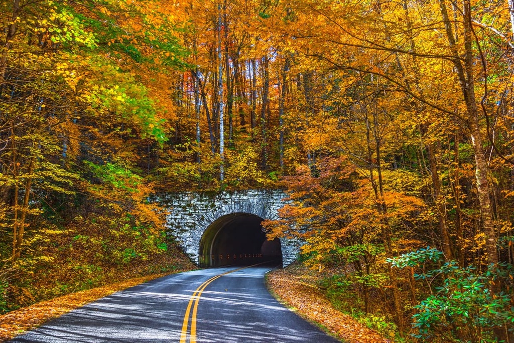 Pisgah National Forest, Great Balsam Mountains, North Carolina