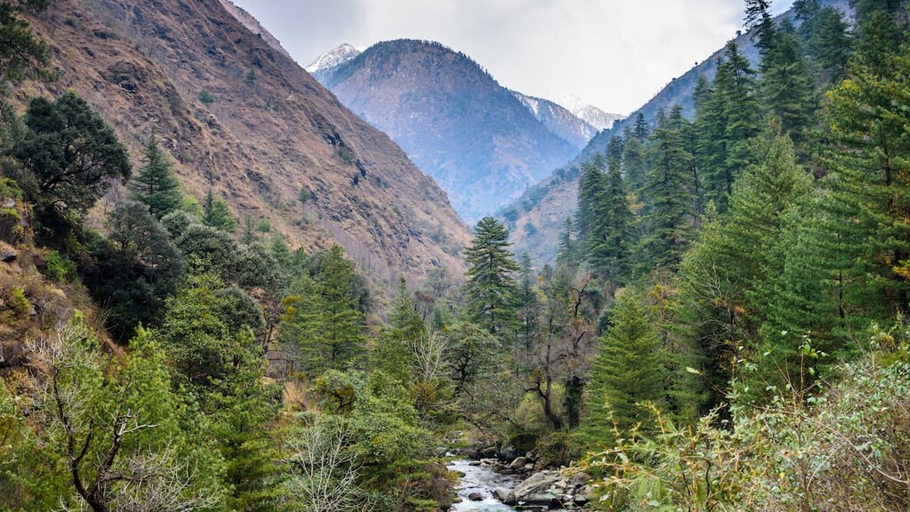 Great Himalayan National Park, India