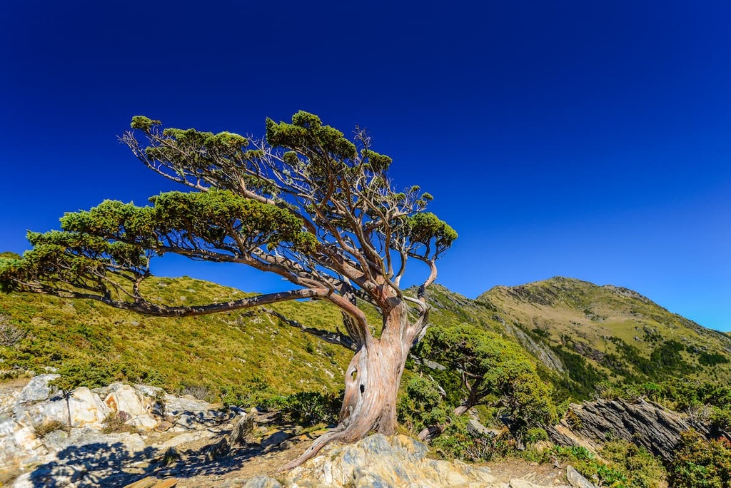 Guanshan Major Wildlife Habitat, Taiwan