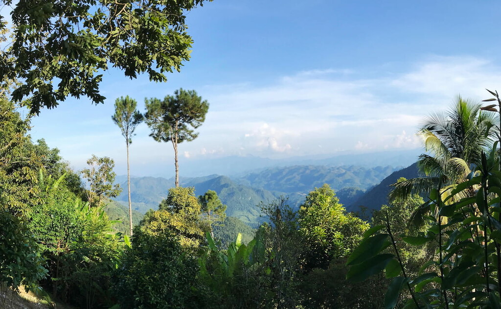 Sierra de las Minas Biosphere Reserve, Guatemala 
