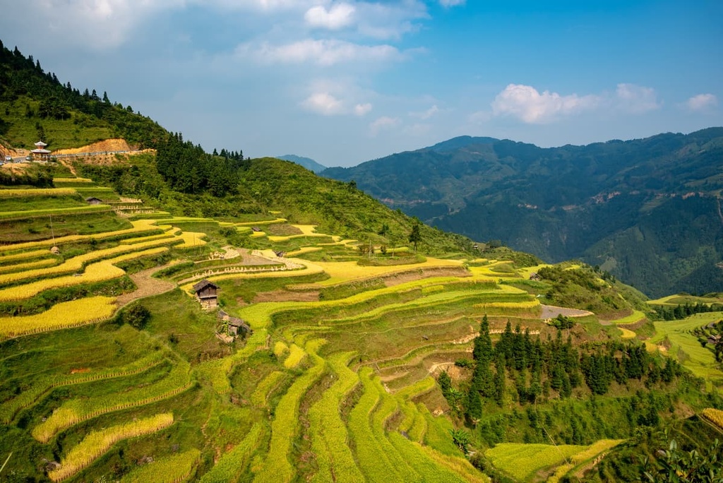 Jiabang Rice Terraces, Guizhou Province, China