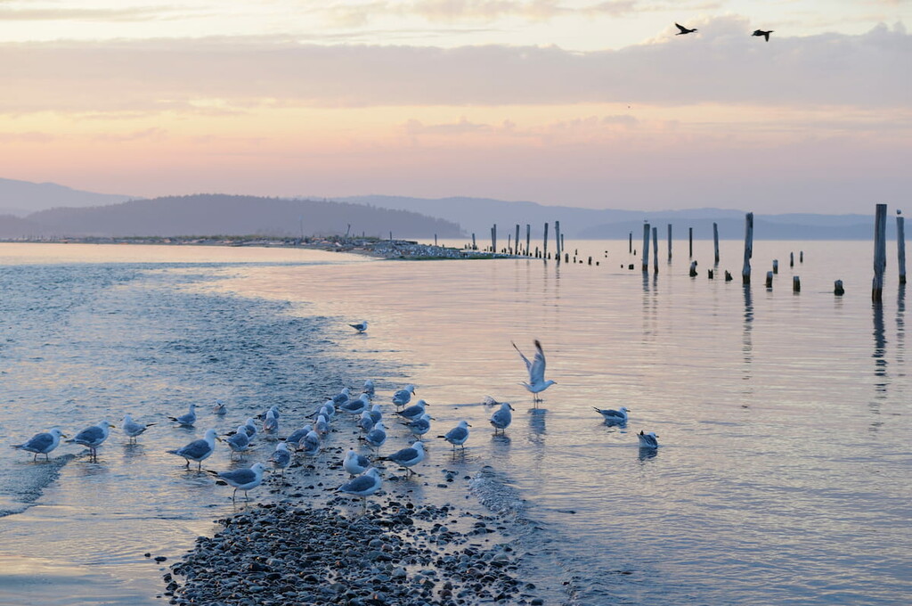 Gulf Islands National Park Reserve