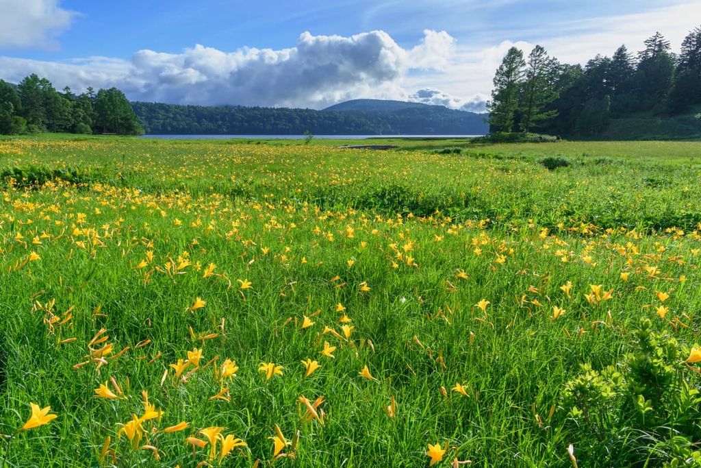 Oze National Park, Gunma Prefecture, Japan
