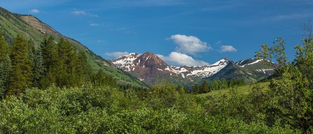 Gunnison National Forest