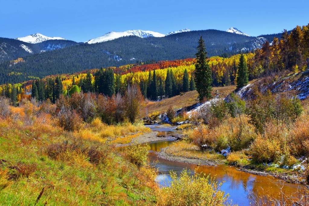 Gunnison National Forest