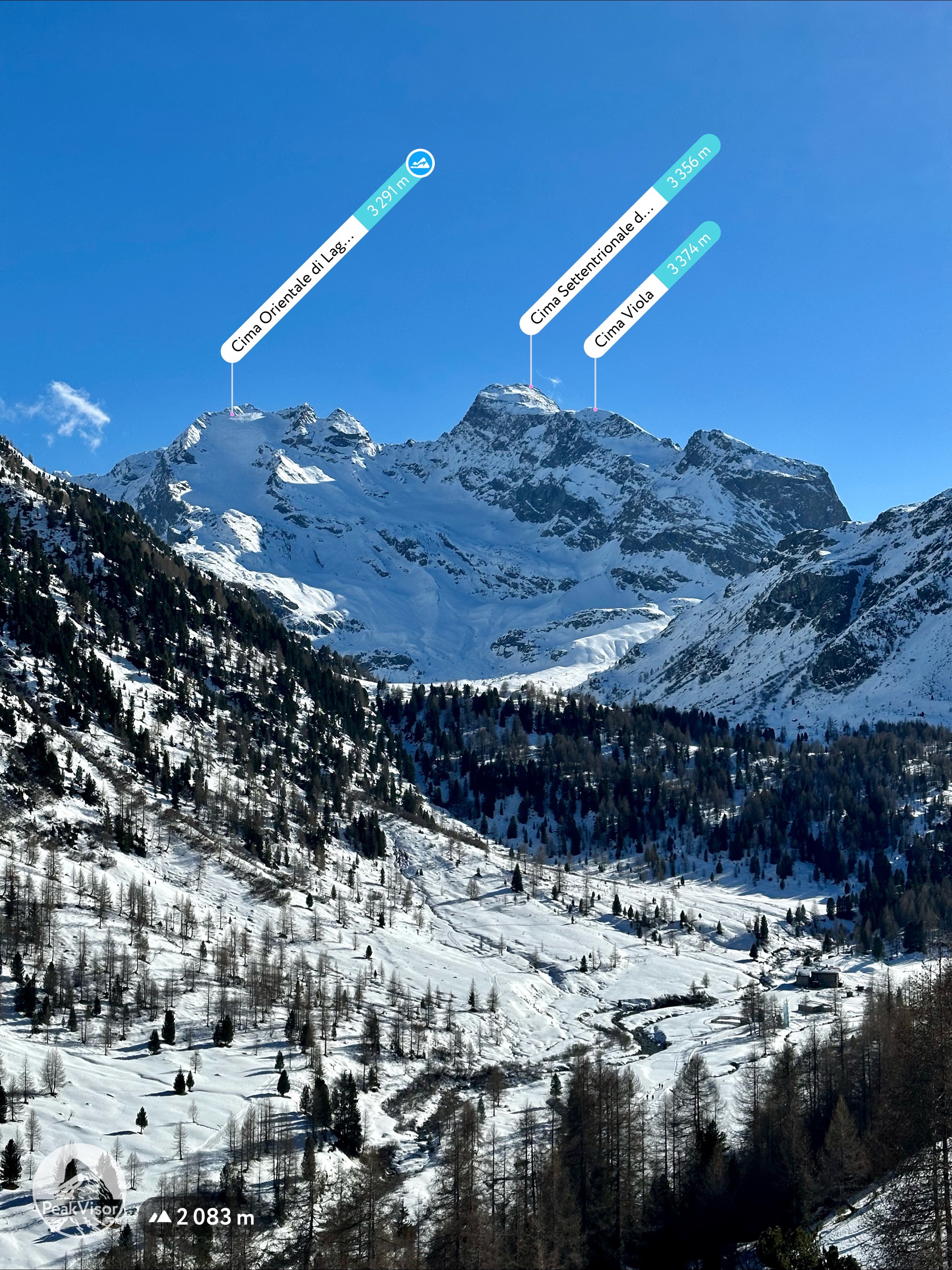 Cima Viola
