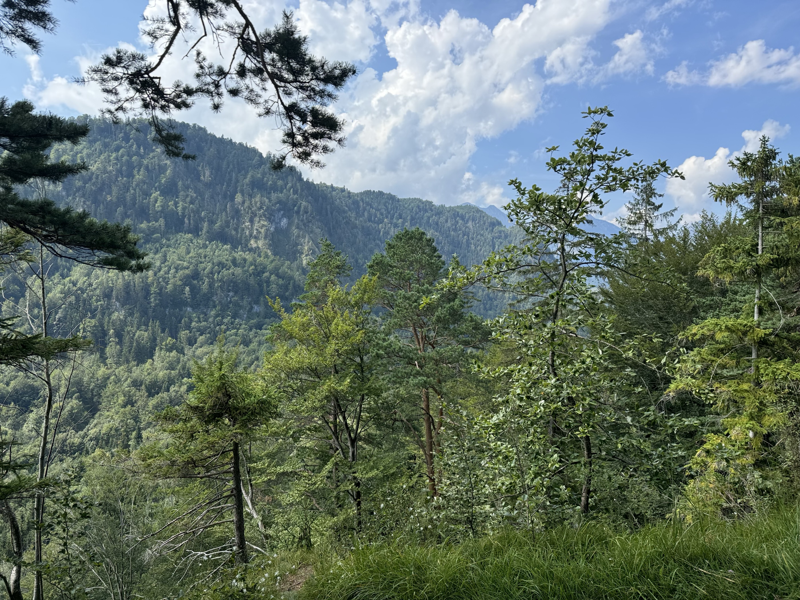 Kalvarienberg
