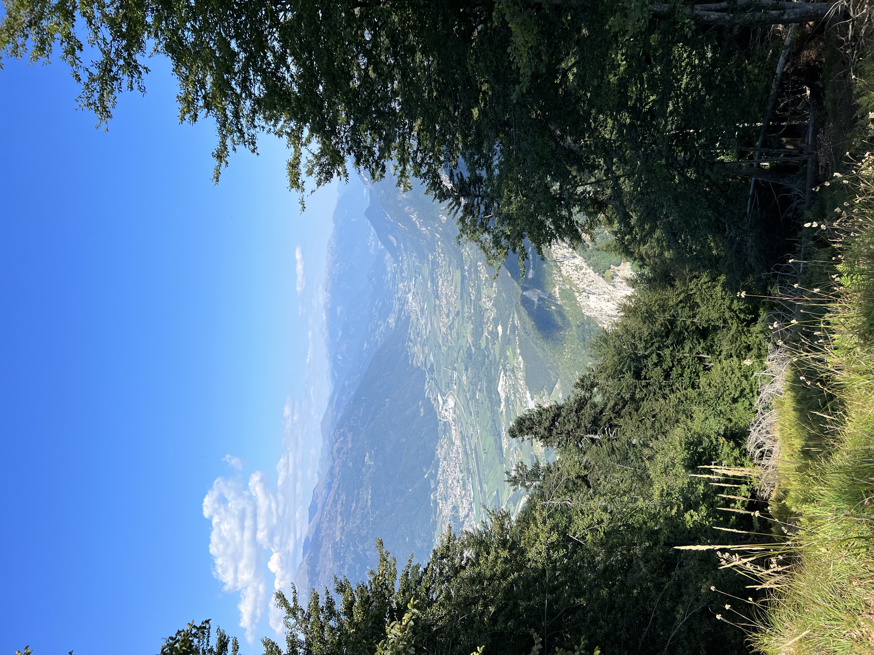 Monte Cimon