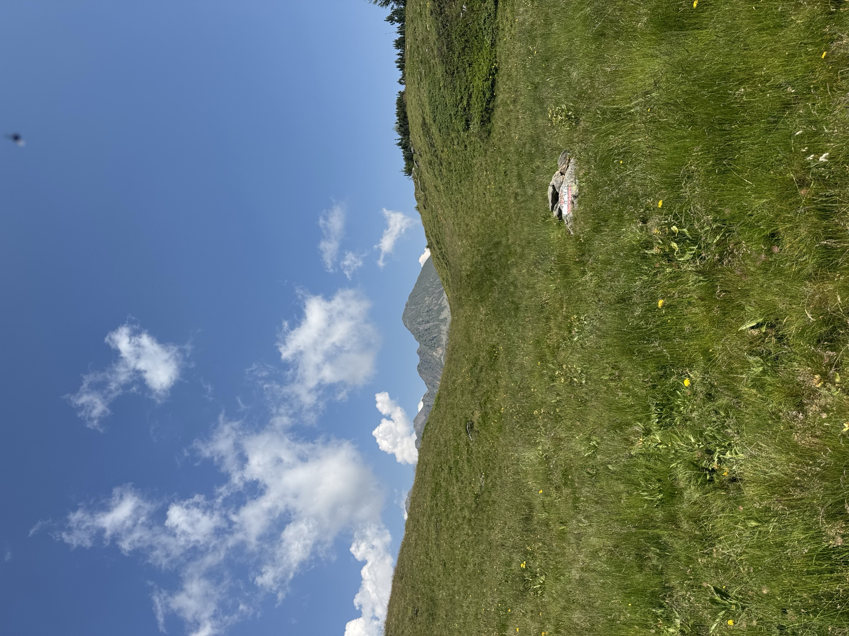 Monte Faiden